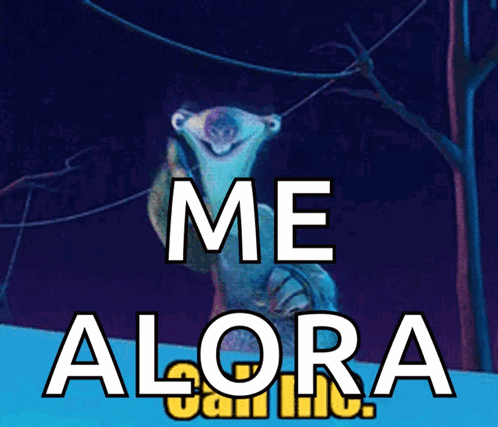 A Picture Of A Polar Bear With The Words Me Alora GIF