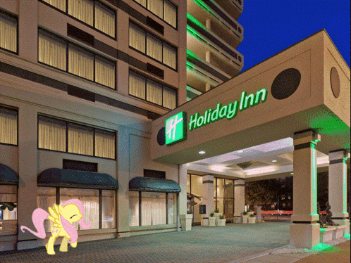 A Picture Of A Pony In Front Of A Holiday Inn Hotel GIF