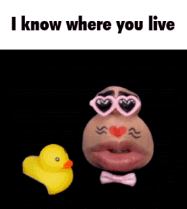 A Picture Of A Potato Wearing Sunglasses And A Bow Tie Next To A Yellow Rubber Duck . GIF