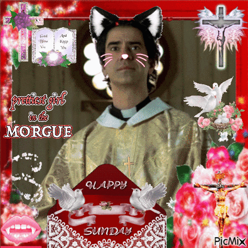 A Picture Of A Priest With A Cat Face And The Words " Prettiest Girl In The Morgue " On It GIF