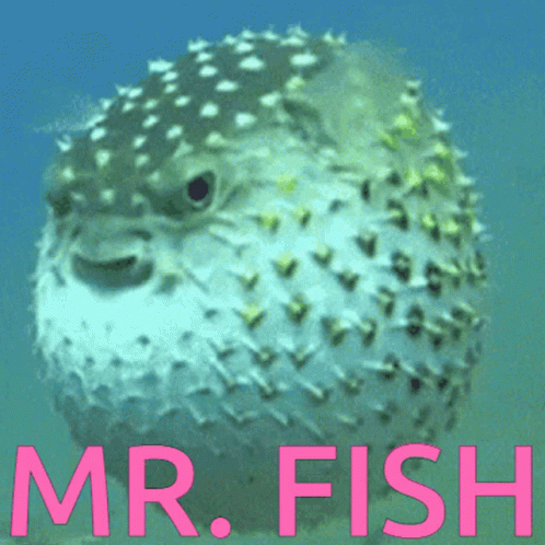 A Picture Of A Puffer Fish With The Words Mr. Fish In Pink GIF