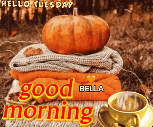 A Picture Of A Pumpkin On Top Of A Pile Of Blankets With The Words Good Morning Bella GIF