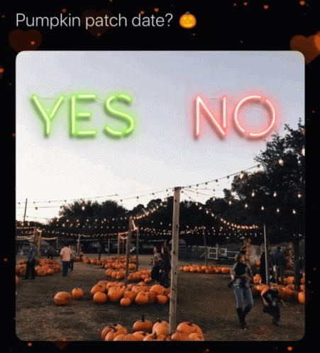 a picture of a pumpkin patch with the words yes and no