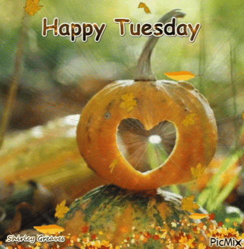 A Picture Of A Pumpkin With A Heart Cut Out Of It And The Words Happy Tuesday GIF