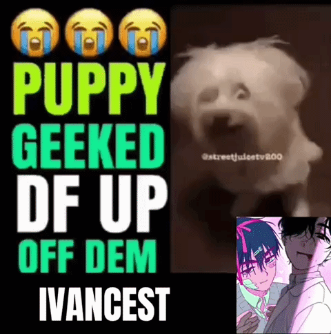 A Picture Of A Puppy Geeked Df Up Off Dem Ivancest GIF