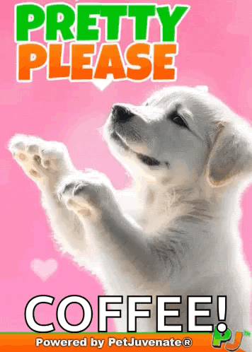 A Picture Of A Puppy That Says Pretty Please Coffee On It GIF