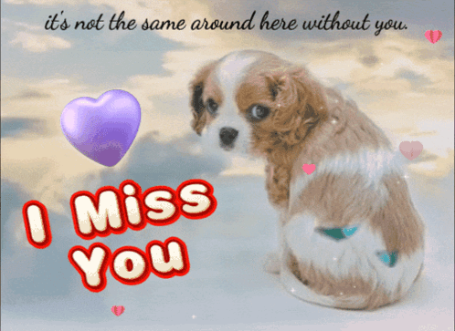 A Picture Of A Puppy With The Words I Miss You On It GIF