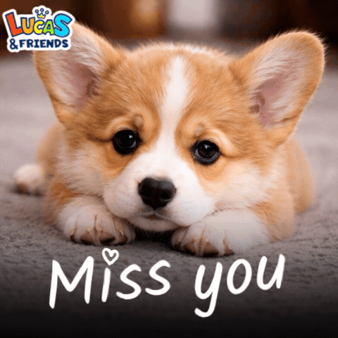 A Picture Of A Puppy With The Words Miss You Written Below It GIF