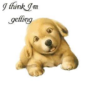 a picture of a puppy with the words sleepy good night