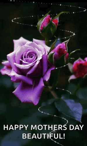 A Picture Of A Purple Rose With The Words Happy Mothers Day Beautiful GIF
