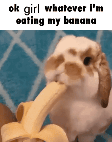 a picture of a rabbit eating a banana with a caption that says ok girl whatever i 'm eating my banana