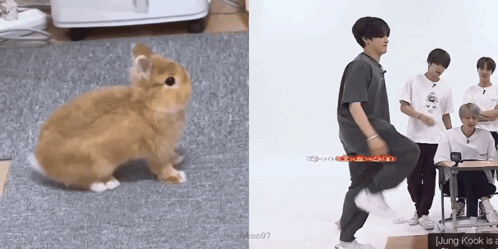 A Picture Of A Rabbit Next To A Picture Of A Person Dancing GIF