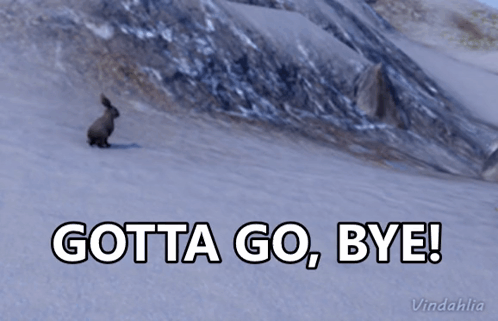A Picture Of A Rabbit On A Snowy Hill With The Words Gotta Go Bye GIF