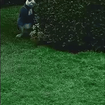 A Picture Of A Rabbit With A Clock In Its Mouth GIF