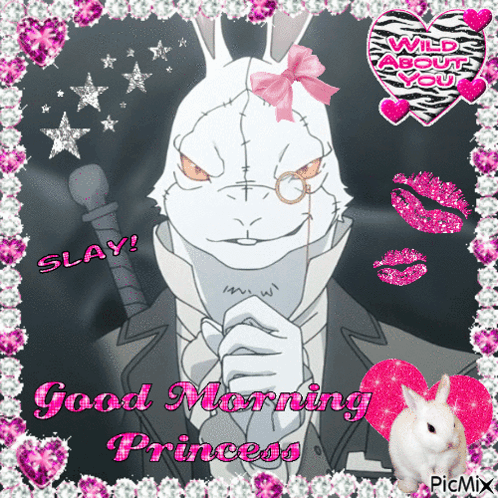 a picture of a rabbit with the words good morning princess written on it