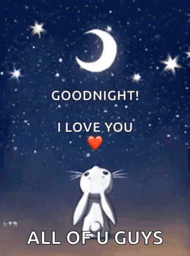 A Picture Of A Rabbit With The Words Goodnight I Love You All Of U Guys On It GIF