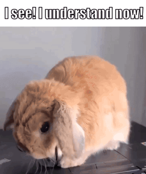 A Picture Of A Rabbit With The Words I See I Understand Now GIF