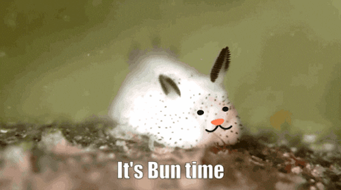 A Picture Of A Rabbit With The Words " It 'S Bun Time " Written Below It GIF