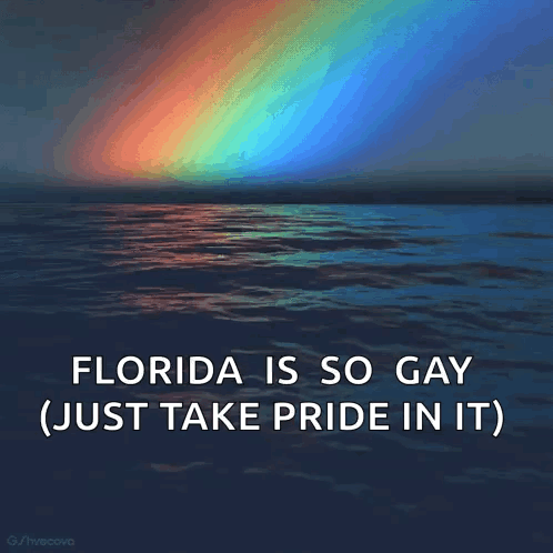 A Picture Of A Rainbow Over A Body Of Water With The Caption " Florida Is So Gay Just Take Pride In It " GIF