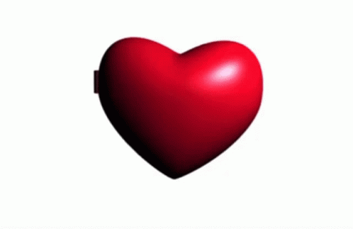 A Picture Of A Rat In A Heart Shaped Mirror Says Rat Man My Beloved GIF