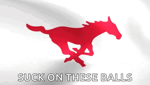 a picture of a red horse with the words suck on these balls below it
