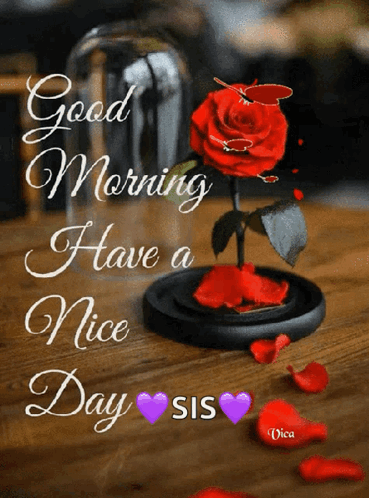 A Picture Of A Red Rose In A Glass Dome That Says Good Morning Have A Nice Day GIF