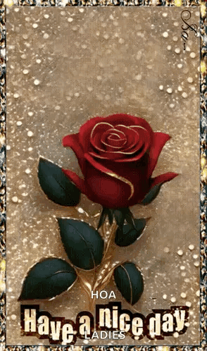 A Picture Of A Red Rose With The Words Have A Nice Day GIF