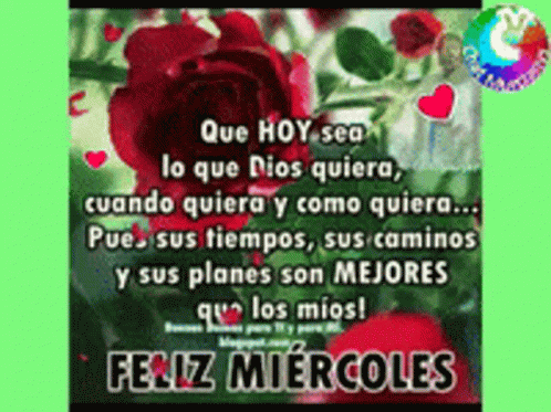 A Picture Of A Red Rose With The Words Que Hoy Sea Lo Que Dios Quiera Cuando Quiera Y Como Quiera .. GIF