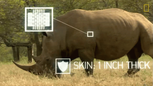 A Picture Of A Rhino With The Words Skin 1 Inch Thick On The Bottom GIF