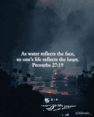 A Picture Of A River With A Quote From Proverbs GIF