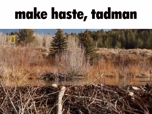 A Picture Of A River With The Words Make Haste Tadman GIF