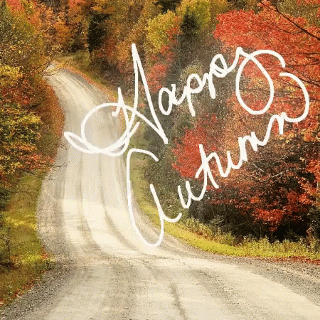 A Picture Of A Road With The Words Happy Autumn On It GIF