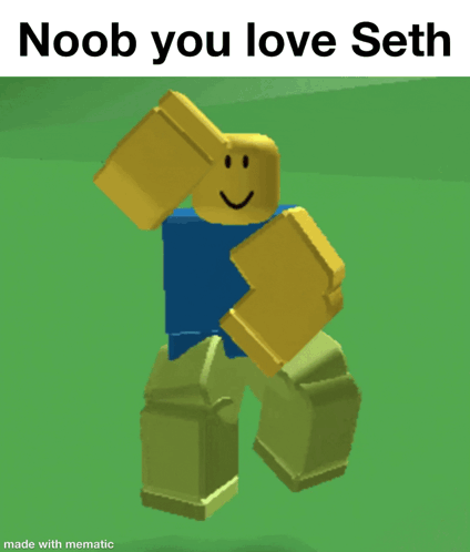 A Picture Of A Roblox Character That Says Noob You Love Seth Made With Mematic GIF