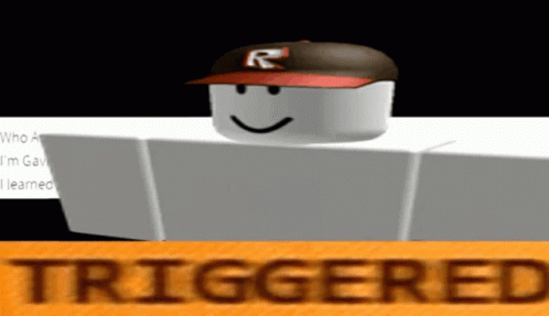A Picture Of A Roblox Character With The Word Triggered On The Bottom GIF