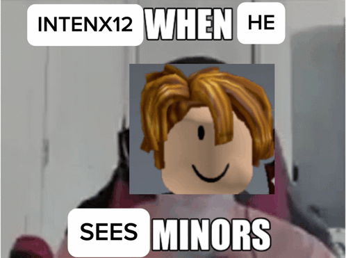 A Picture Of A Roblox Character With The Words When He Sees Minors GIF