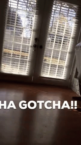 A Picture Of A Room With The Words " Ha Gotcha " On The Bottom GIF