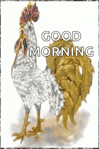 A Picture Of A Rooster With The Words Good Morning GIF
