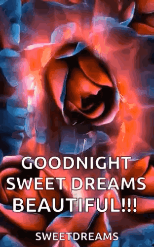 A Picture Of A Rose With The Words `` Goodnight Sweet Dreams Beautiful !! '' GIF