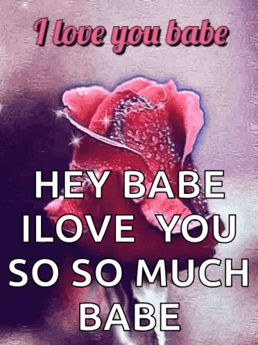 A Picture Of A Rose With The Words I Love You Babe GIF