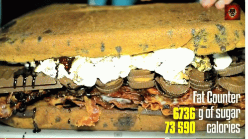 A Picture Of A Sandwich With The Words Fat Counter On It GIF