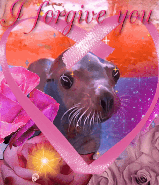 A Picture Of A Seal In A Heart With The Words " I Forgive You " On It GIF