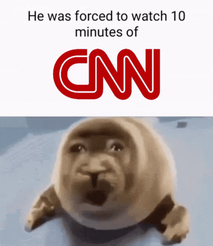 A Picture Of A Seal With Cnn Written On It GIF