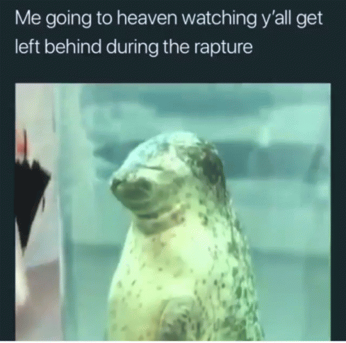 A Picture Of A Seal With The Caption Me Going To Heaven Watching Y 'All Get Left Behind During The Rapture . GIF