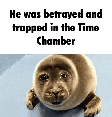a picture of a seal with the words he was betrayed and trapped in the time chamber below it