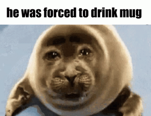 A Picture Of A Seal With The Words He Was Forced To Drink Mug Below It GIF