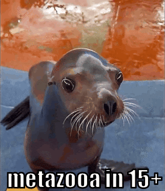 A Picture Of A Seal With The Words Metazooa In 15+ GIF