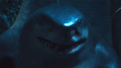 A Picture Of A Shark With The Word Hungry Written Below It GIF