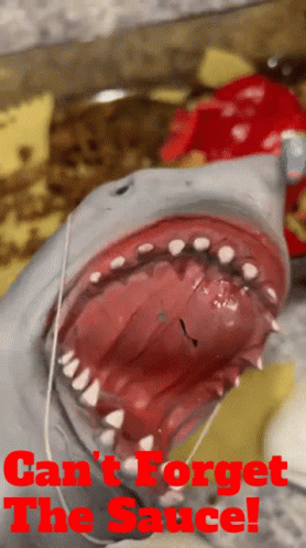 A Picture Of A Shark With The Words " Can 'T Forget The Sauce " On The Bottom GIF