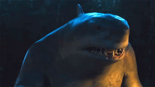 A Picture Of A Shark With The Words F ### % K Written On It GIF