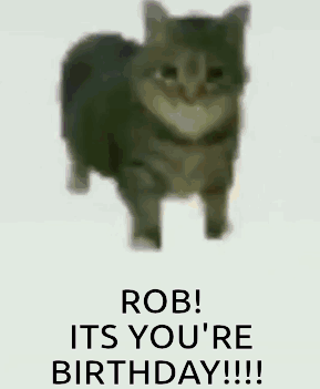 A Picture Of A Sheep With The Words `` Rob ! Its Your Birthday !!! '' Written On It . GIF